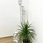Best Rome Apartment *