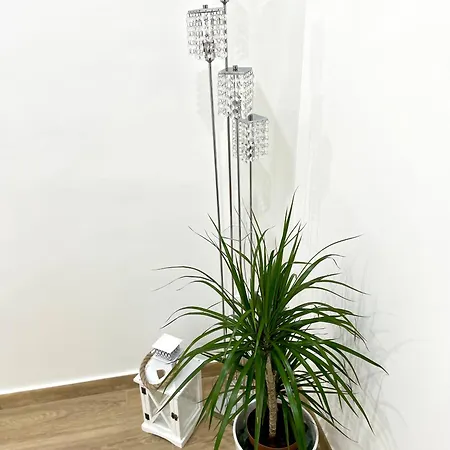 Best Rome Apartment *